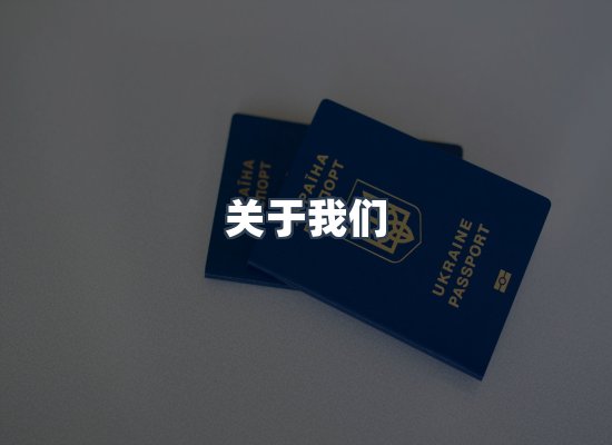 专业团队